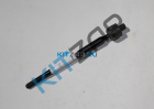 ���� �������